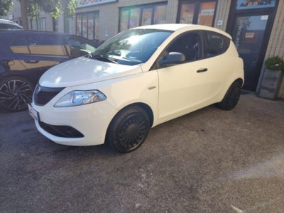 Lancia Ypsilon 1.2 69 CV 5 porte GPL Alberta Ferretti (3)
