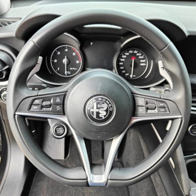 Alfa Romeo Stelvio Stelvio 2.2 Turbodiesel 190 CV AT8 Q4 Sport-Tech (13)