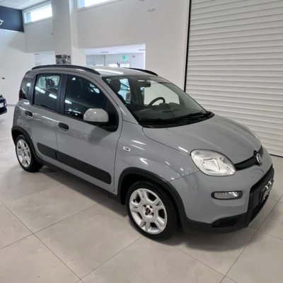 Fiat Panda 1.0 firefly hybrid s&s 70cv 5p.ti (6)