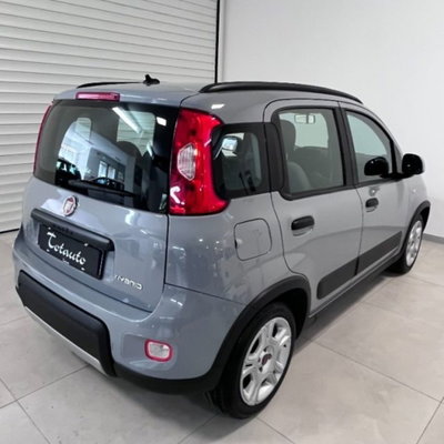 Fiat Panda 1.0 firefly hybrid s&s 70cv 5p.ti (8)