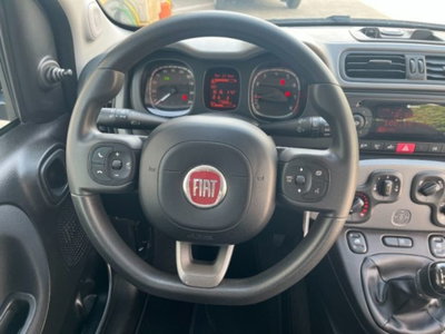 Fiat Panda 1.0 firefly hybrid s&s 70cv 5p.ti (11)