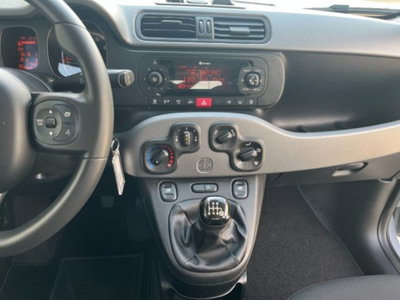 Fiat Panda 1.0 firefly hybrid s&s 70cv 5p.ti (12)