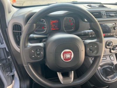 Fiat Panda 1.0 firefly hybrid s&s 70cv 5p.ti (14)