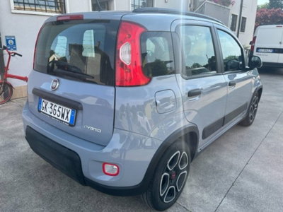 Fiat Panda 1.0 firefly hybrid s&s 70cv 5p.ti (4)