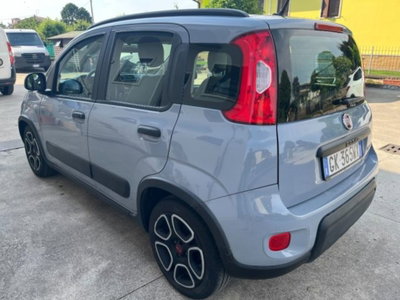 Fiat Panda 1.0 firefly hybrid s&s 70cv 5p.ti (6)
