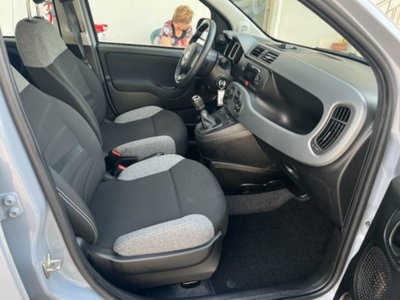 Fiat Panda 1.0 firefly hybrid s&s 70cv 5p.ti (7)