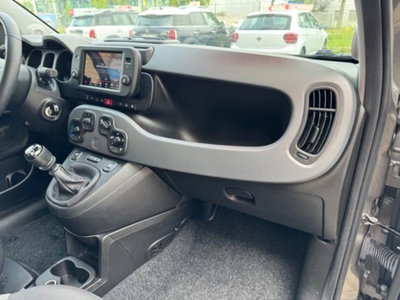 Fiat Panda 0.9 TwinAir Turbo S&S 4x4 Wild (10)