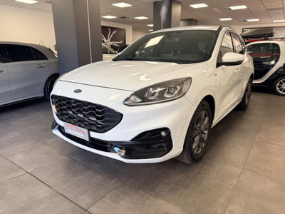 Ford Kuga 1.5 EcoBlue 120 CV aut. 2WD ST-Line X Design (3)