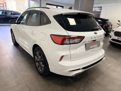 Ford Kuga 1.5 EcoBlue 120 CV aut. 2WD ST-Line X Design (4)