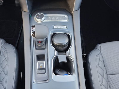 Foton Tunland Pick-up Tunland G7 2.0 tdi single cab (15)