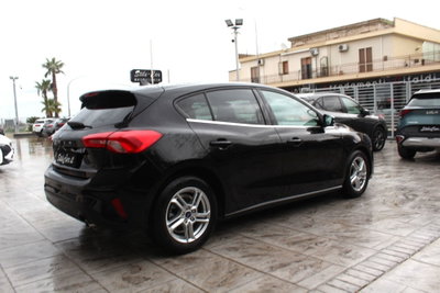 Ford Focus 1.5 EcoBlue 120 CV 5p. Business (2)