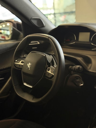 Peugeot 2008 1.2 turbo Allure 100cv (14)
