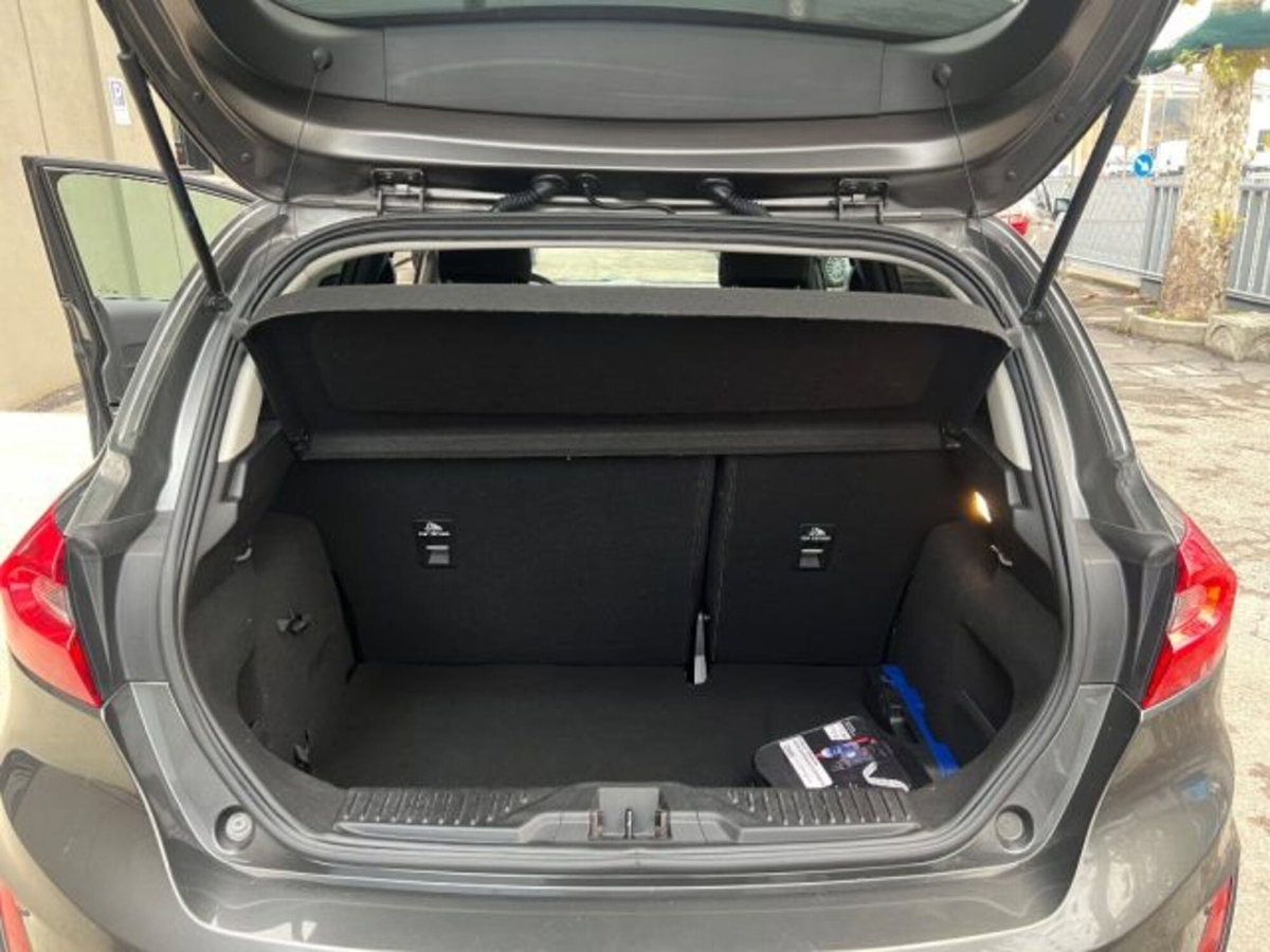 Ford Fiesta 1.5 TDCi 5 porte Vignale (12)