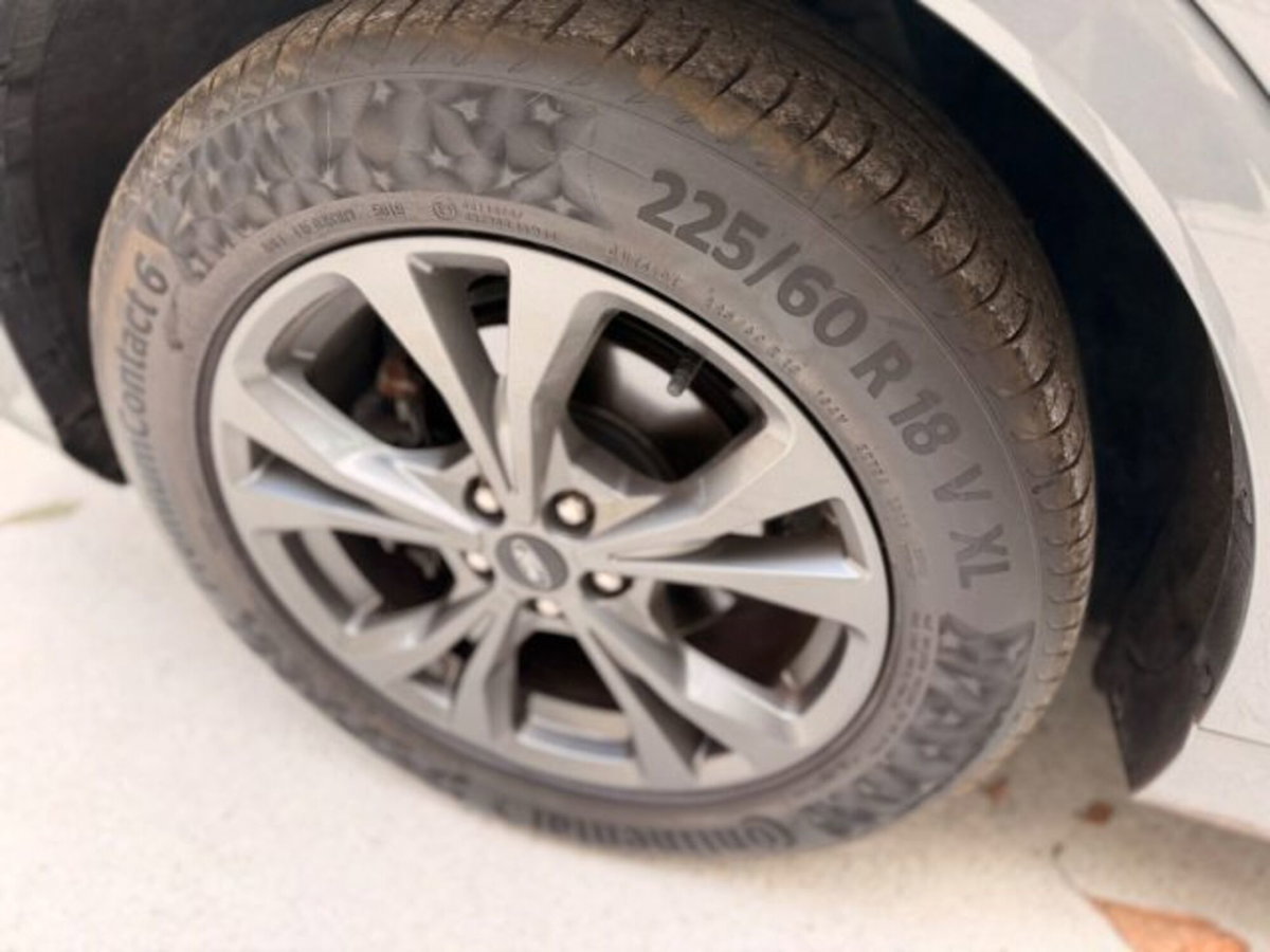 Ford Kuga 1.5 EcoBlue 120 CV 2WD ST-Line (14)