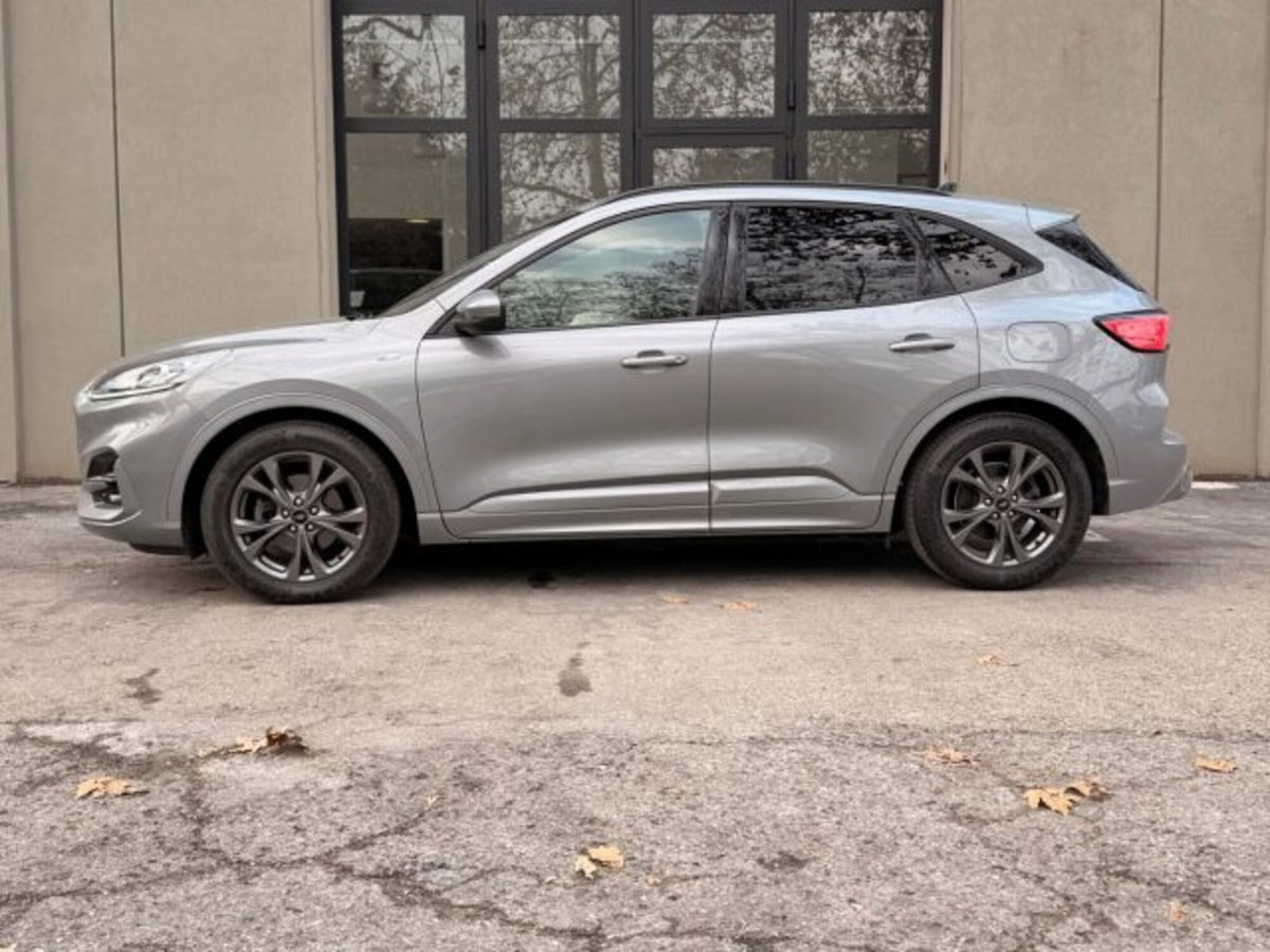 Ford Kuga 1.5 EcoBlue 120 CV 2WD ST-Line (4)