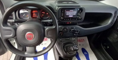 Fiat Panda 1.0 firefly hybrid s&s 70cv (11)