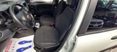 Fiat Panda 1.0 firefly hybrid s&s 70cv (7)