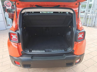 Jeep Renegade 1.6 Mjt 120 CV Longitude (19)