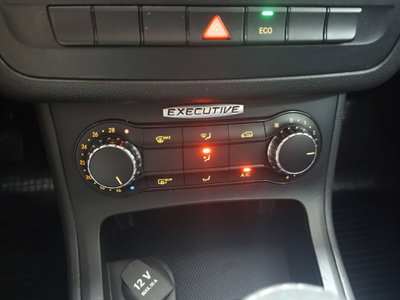 Mercedes-Benz Classe B 180 CDI Executive (7)
