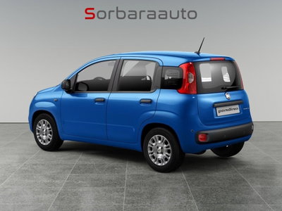 Fiat Pandina 1.0 firefly hybrid Icon s&s 65cv (4)