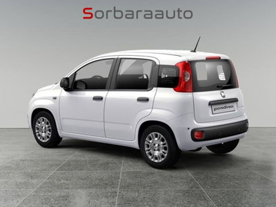 Fiat Pandina 1.0 firefly hybrid Icon s&s 65cv (4)