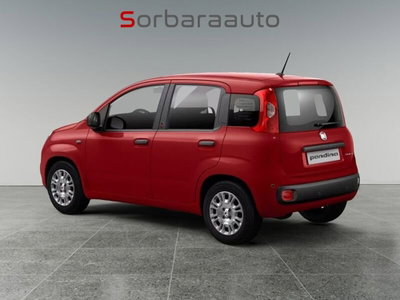 Fiat Pandina 1.0 firefly hybrid Icon s&s 65cv (4)