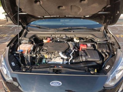 Ford Focus Station Wagon 1.5 EcoBlue 120 CV automatico SW Business Co-Pilot (14)