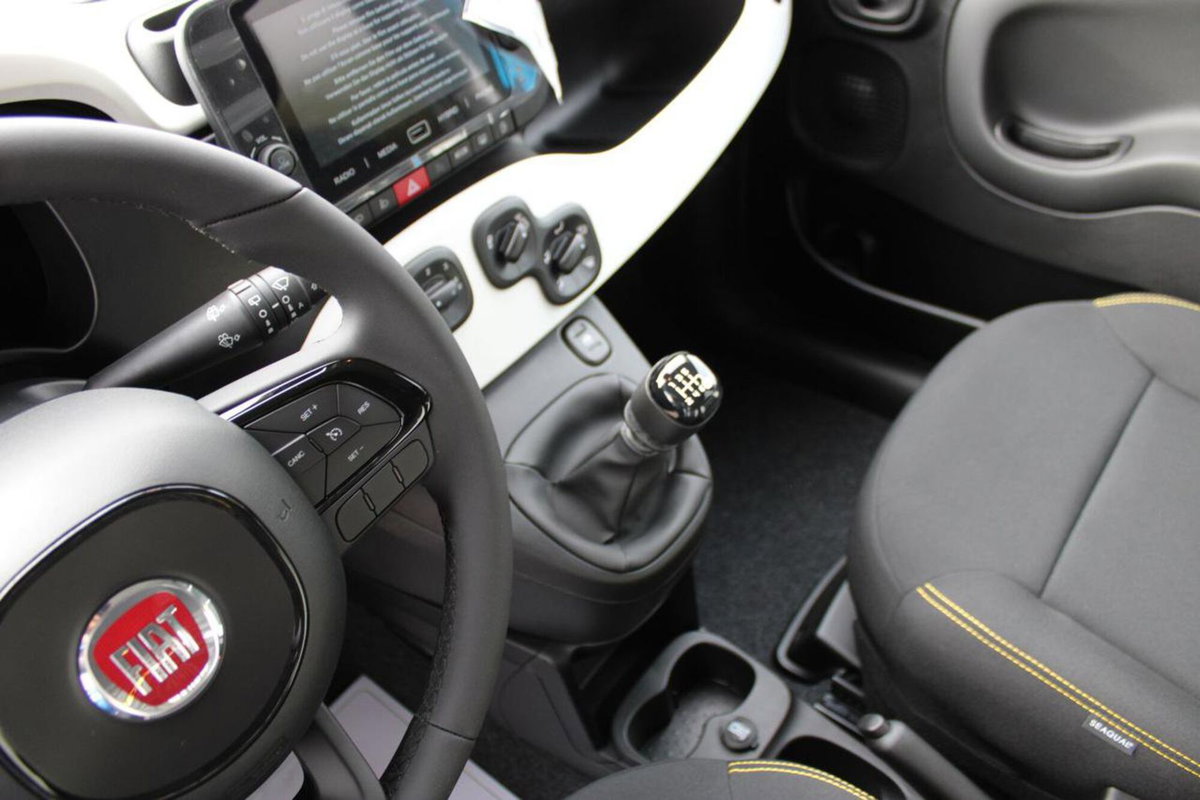 Fiat Panda Cross Cross 1.0 FireFly S&S Hybrid (12)