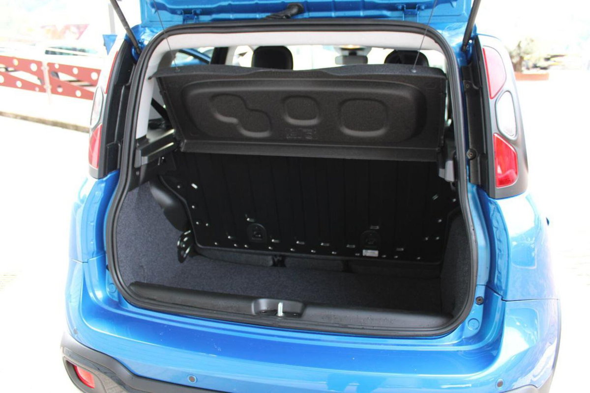 Fiat Panda Cross Cross 1.0 FireFly S&S Hybrid (14)