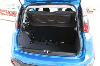Fiat Panda Cross Cross 1.0 FireFly S&S Hybrid (14)
