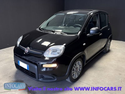 Fiat Panda 1.0 firefly hybrid s&s 70cv 5p.ti (3)