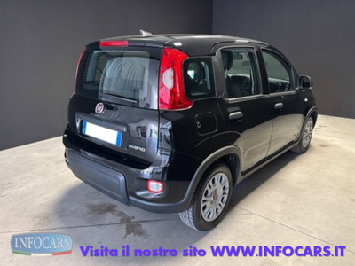 Fiat Panda 1.0 firefly hybrid s&s 70cv 5p.ti (4)