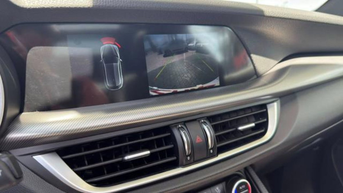 Alfa Romeo Stelvio Stelvio 2.2 Turbodiesel 210 CV AT8 Q4 Veloce (15)