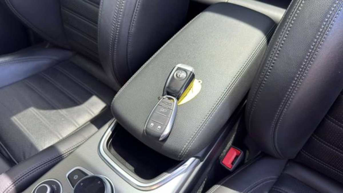 Alfa Romeo Stelvio Stelvio 2.2 Turbodiesel 210 CV AT8 Q4 Veloce (17)