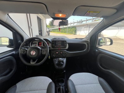 Fiat Panda Cross 1.0 firefly hybrid Cross s&s 70cv 5p.ti (17)
