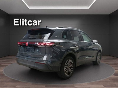 Volkswagen Tiguan 1.5 etsi Life 130cv dsg (4)
