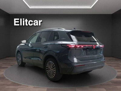 Volkswagen Tiguan 1.5 etsi Life 130cv dsg (6)