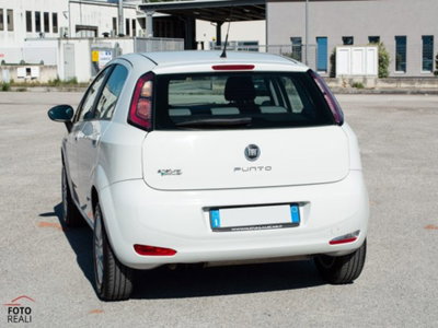 Fiat Punto 1.4 8V 5 porte Natural Power Easy (15)