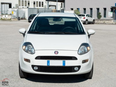 Fiat Punto 1.4 8V 5 porte Natural Power Easy (2)
