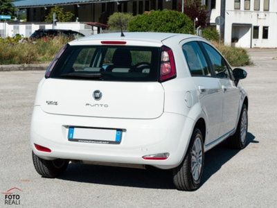 Fiat Punto 1.4 8V 5 porte Natural Power Easy (20)