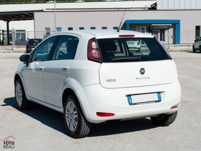 Fiat Punto 1.4 8V 5 porte Natural Power Easy (4)