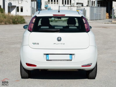 Fiat Punto 1.4 8V 5 porte Natural Power Easy (5)