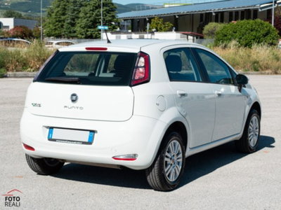 Fiat Punto 1.4 8V 5 porte Natural Power Easy (6)