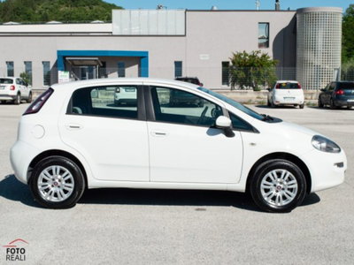 Fiat Punto 1.4 8V 5 porte Natural Power Easy (7)