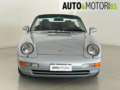 Porsche 911 Cabrio Carrera cat (2)