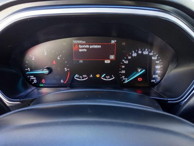 Ford Focus Station Wagon 1.5 EcoBlue 120 CV automatico SW Business (16)