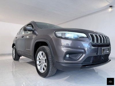 Jeep Cherokee 2.2 Mjt AWD Active Drive I Longitude usata
