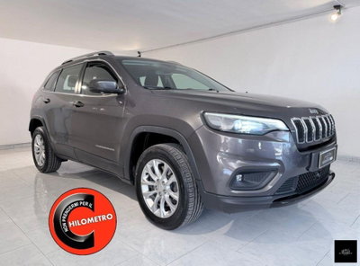 Jeep Cherokee 2.2 Mjt AWD Active Drive I Longitude (2)