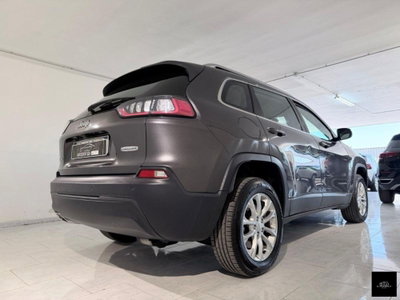 Jeep Cherokee 2.2 Mjt AWD Active Drive I Longitude (6)