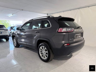 Jeep Cherokee 2.2 Mjt AWD Active Drive I Longitude (7)